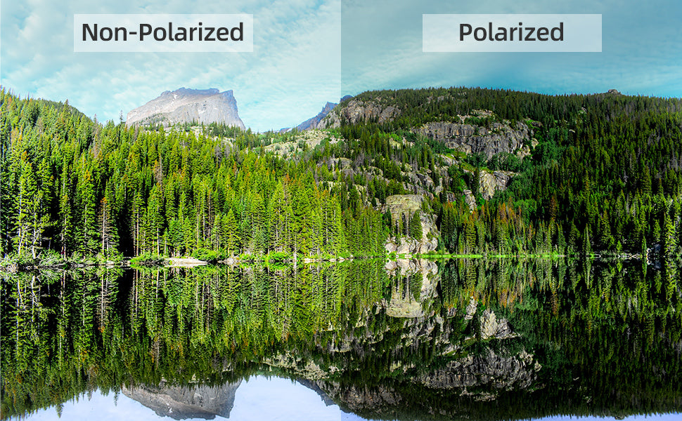 Polarized Sunglasses - White/Grey