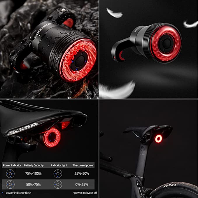 ROCKBROS Bicycle Tail Light - USB Rechargeable